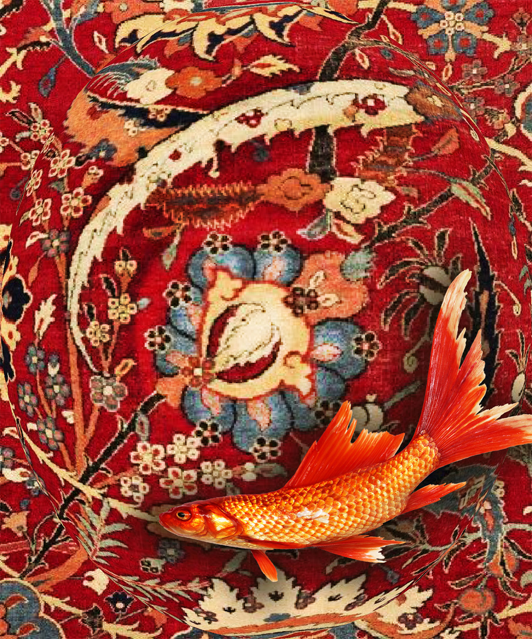 Animals-Collection-main